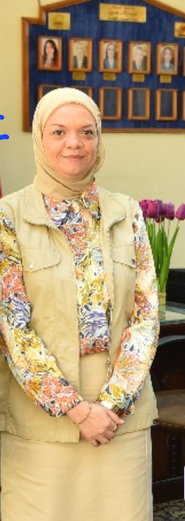 أ.د/ مروة عبدالفتاح محمد بلال
